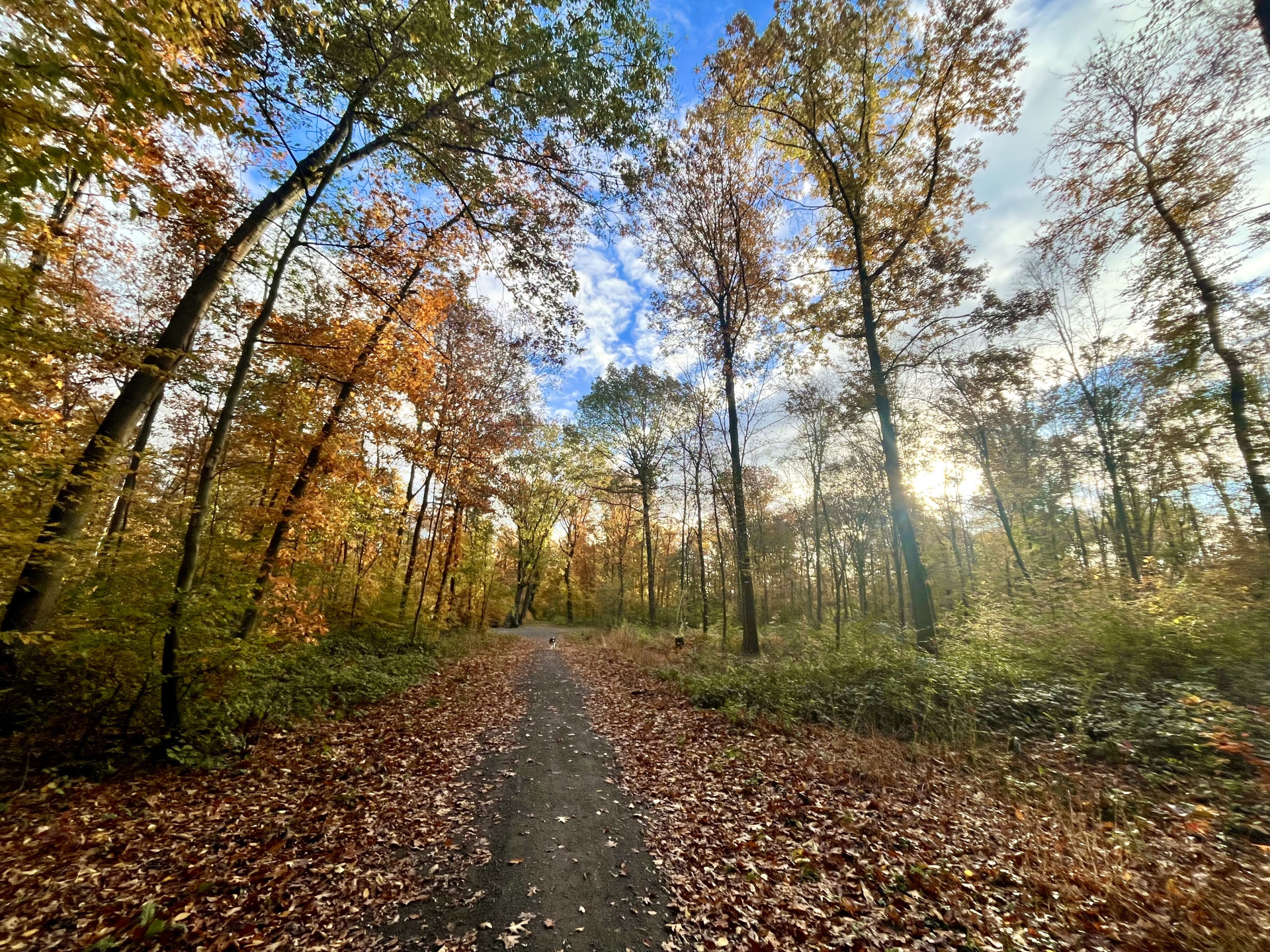 5 Ayurveda Tipps, um im Herbst in Balance zu bleiben