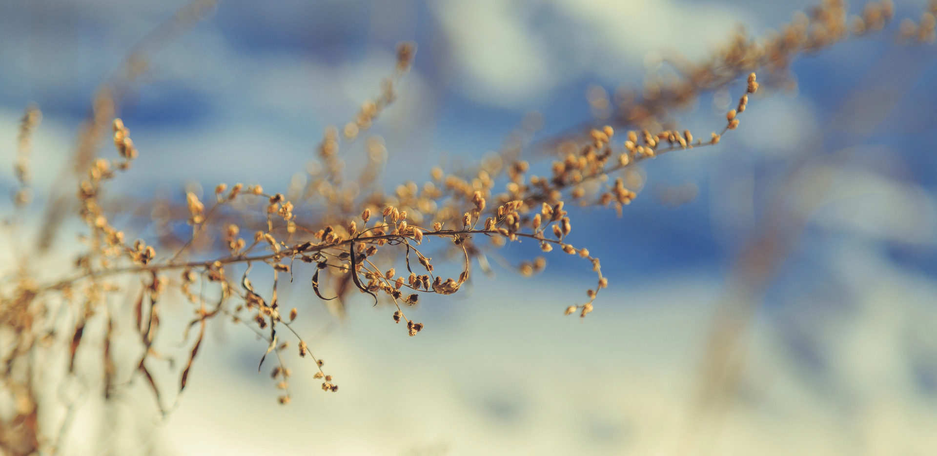 Ayurvedisch durch den Spätherbst: Balance in der Vata-Zeit﻿